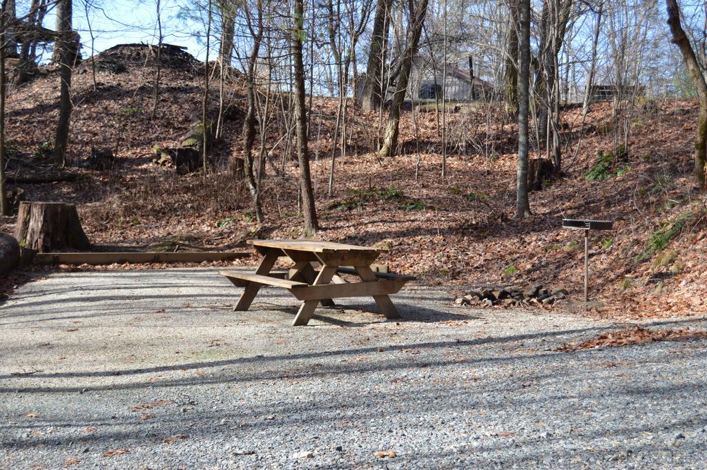 Linville Falls Campground, Rv Park, And Cabins Eksteriør billede