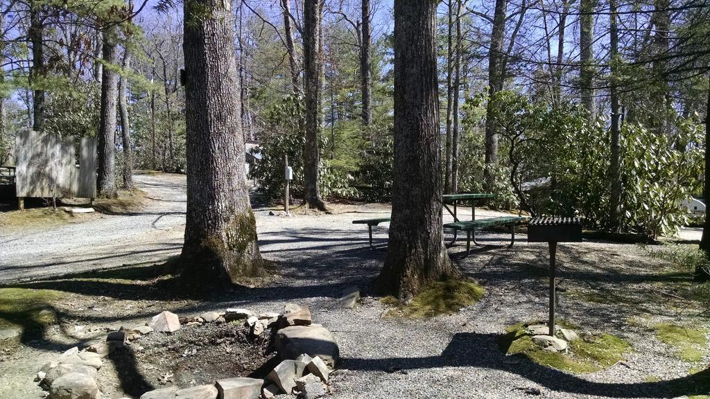 Linville Falls Campground, Rv Park, And Cabins Eksteriør billede