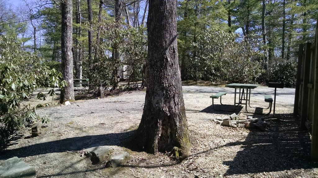 Linville Falls Campground, Rv Park, And Cabins Eksteriør billede