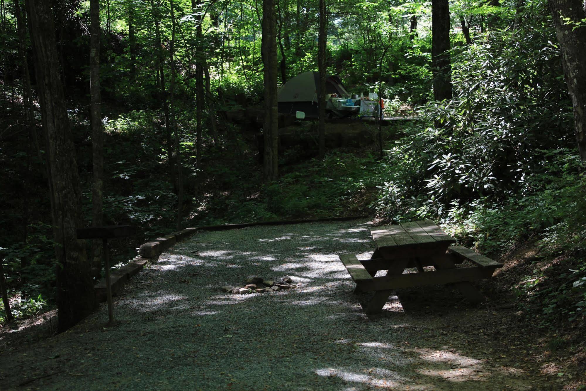 Linville Falls Campground, Rv Park, And Cabins Eksteriør billede